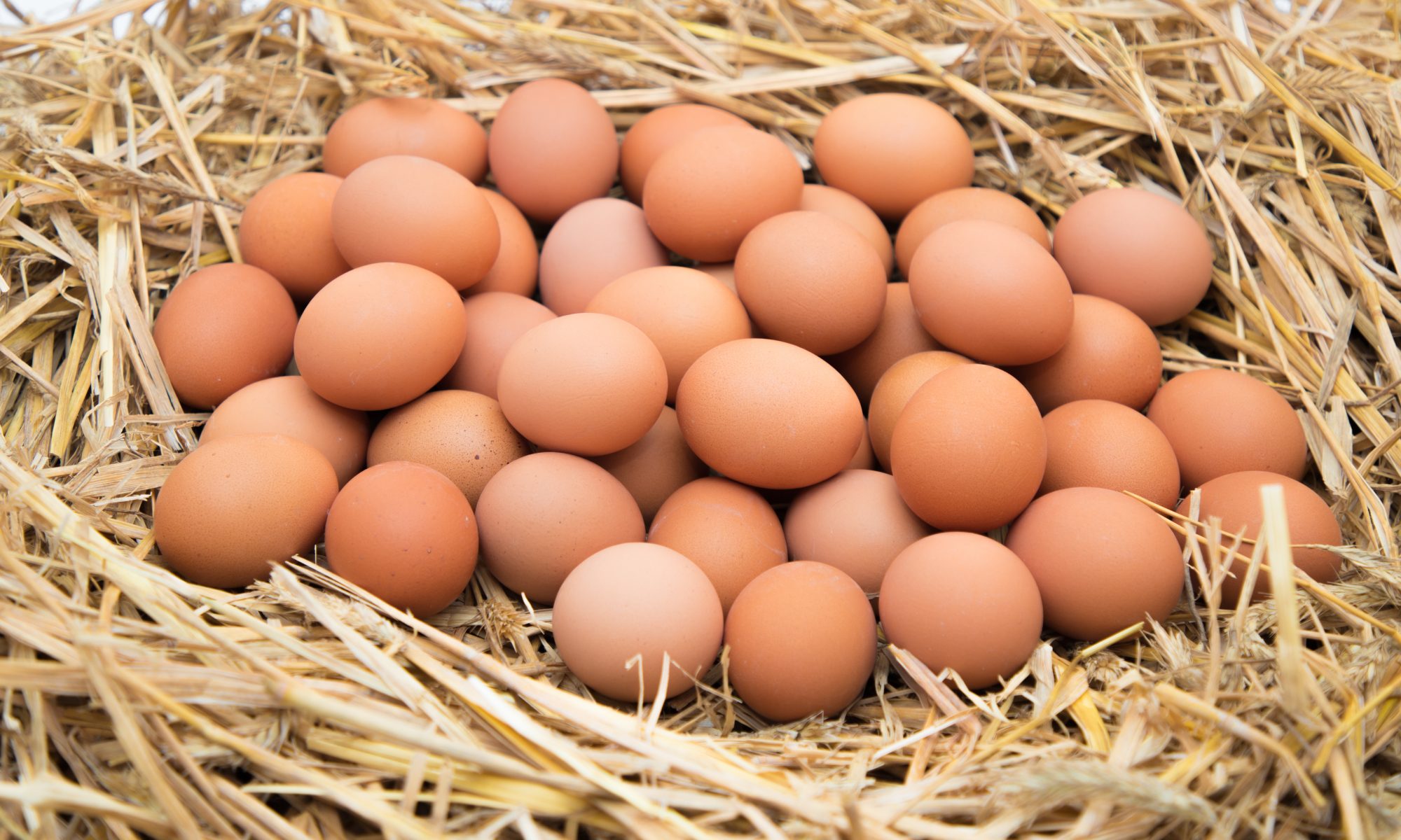 Купить яйцо в белгородской области. Яйцо домашнее куриное. Продаются домашние куриные яйца. Ростов на Дону яйца. Продам яйца куриные домашние.